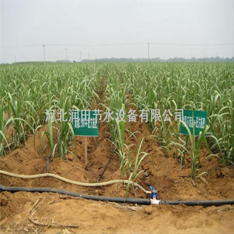 滴灌带厂家 江苏南京市油用牡丹贴片滴灌带