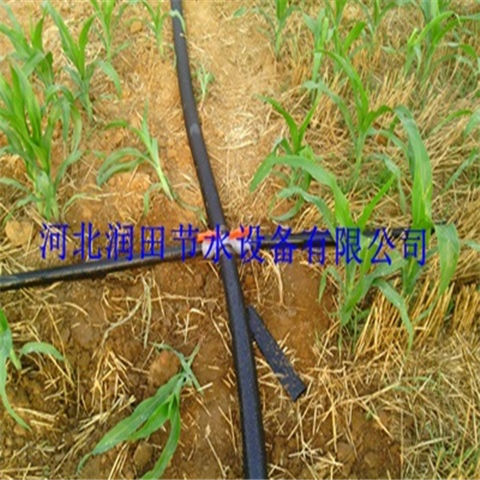 薄壁软带 江苏南通市多型号喷灌带厂家