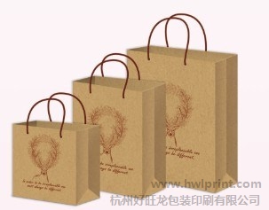 服装包装手提袋 牛皮纸袋 环保袋 好旺龙供