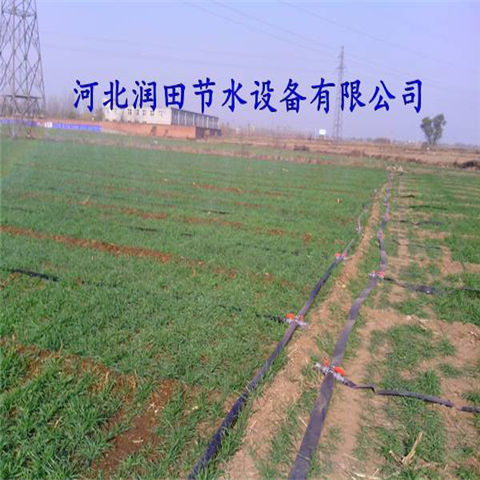 河北廊坊市喷水管 微喷带 大家常用的农田喷灌设备