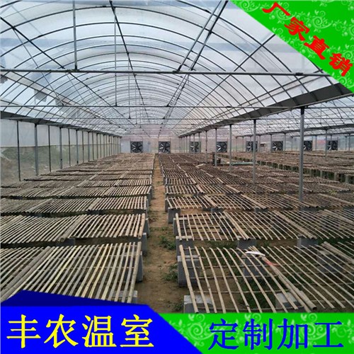 武汉温室大棚厂家武汉蔬菜温室大棚厂家武汉连栋薄膜温室大棚厂家