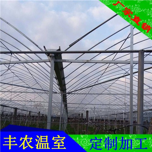 常州蔬菜温室大棚厂家常州安装葡萄大棚报价常州养殖大棚丰农供应