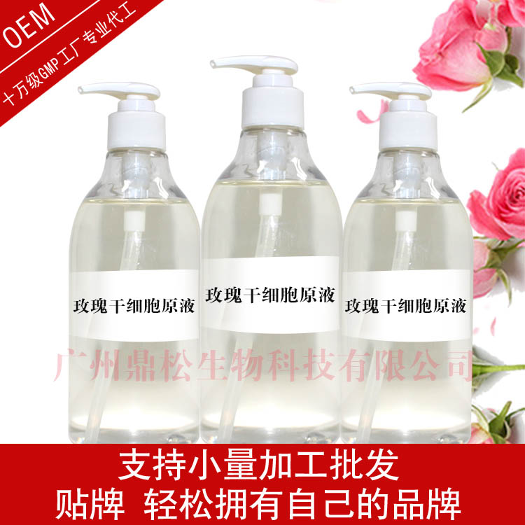 玫瑰干细胞原液除皱专用抗衰保湿增强肌肤活力OEM代加工