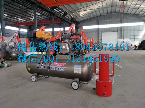 防汛打桩机厂家 便携式防汛打桩机价格 气动防汛打桩机5