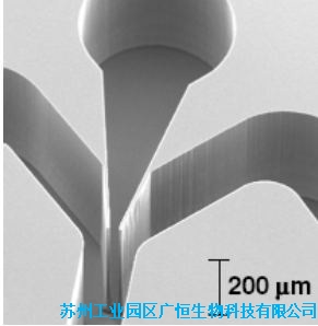 纯硅模具加工工艺 模具纯硅价格 模具纯硅批发采购广恒生物供