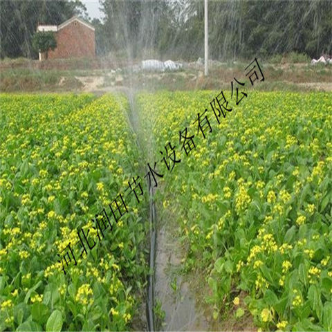 湖北襄阳市小麦节水薄壁软带 微喷带 厂家价格