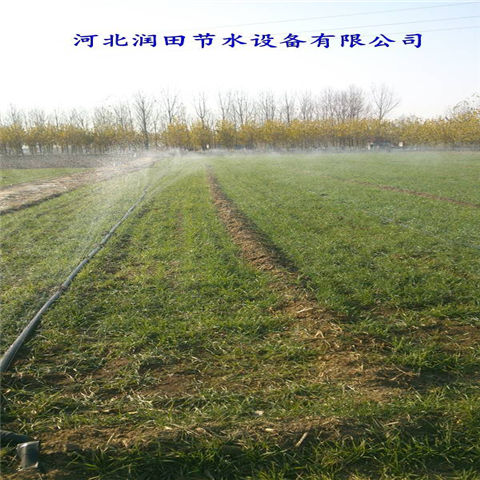 湖北宜昌市土豆灌溉喷灌带 膜下滴灌微喷带