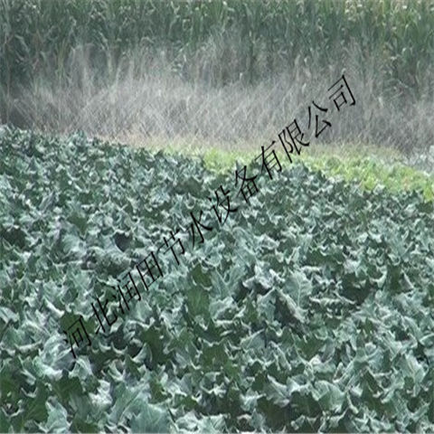 微喷水带 湖北宜昌市小麦灌溉专用常用微喷带