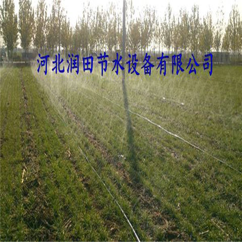 湖北宜昌市土豆灌溉喷灌带 膜下滴灌微喷带