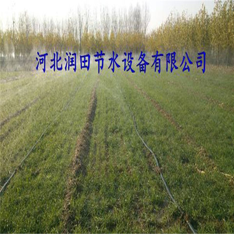 油用牡丹灌溉好用微喷带 湖北宜昌市微喷水带