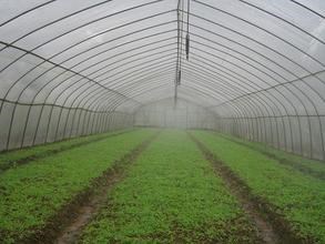 食用菌微喷价格_地插微喷设计_微喷生产厂家