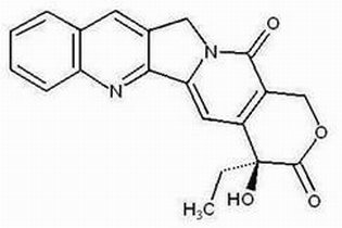 喜树碱|Camptothecin|7689-03-4