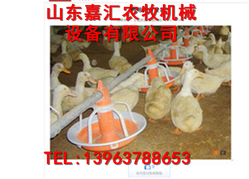 请问济宁嘉汇农牧推出鸭用料线