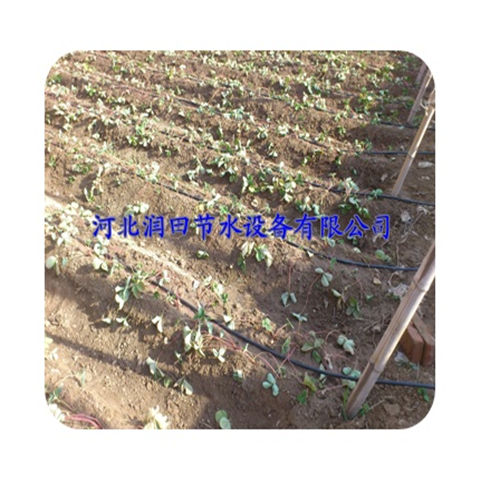 河北邢台市大棚滴灌管工程配置