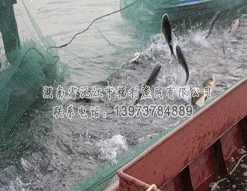 鱼网网箱批发定做-专用养殖网箱定制-专用养殖网箱生产厂家