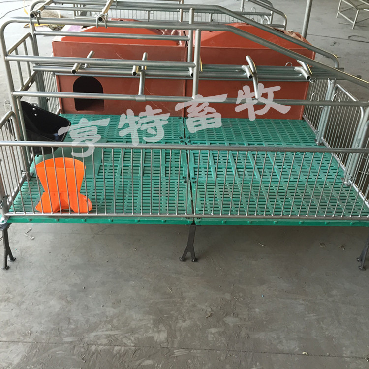 贵州咸宁县连体母猪产床复合电热板开关猪设备价格