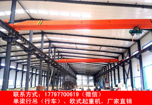 广西河池行车行吊造纸行业解决方案