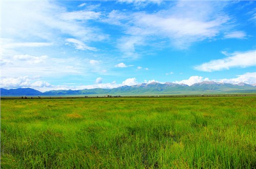 兰州旅游团体包车就选志合|甘肃商务租车周边旅游|庆源供