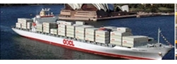 多种新加坡货代_里有靠谱的乐凯龙国际货运代理官网供应商