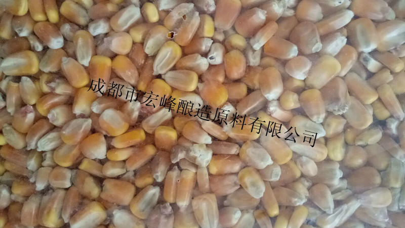 酿造企业求购高粱玉米大豆