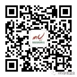关注“NIU你有酒业”  取猕猴桃果酒
