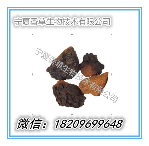 桦褐孔菌提取物 桦褐孔菌多糖 速溶粉 浸膏
