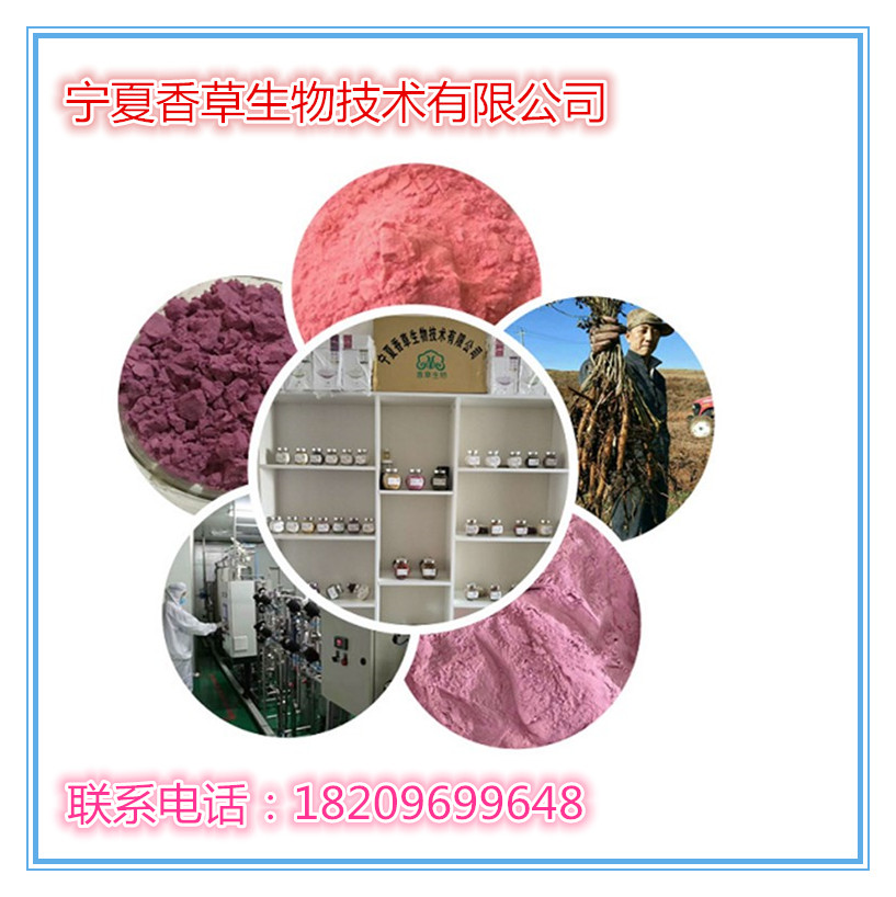 紫玉米提取物10:1 紫玉米粉 紫玉米速溶粉