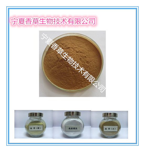 洋甘菊提取物   洋甘菊生粉  洋甘菊浓缩粉