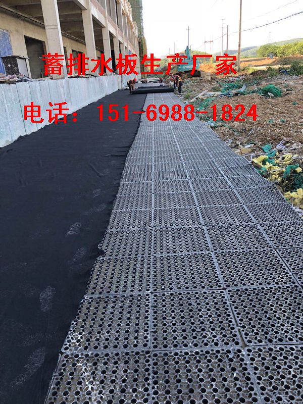 汕头3公分车库排水板￥清远1.2公分地下室排水板15169881824