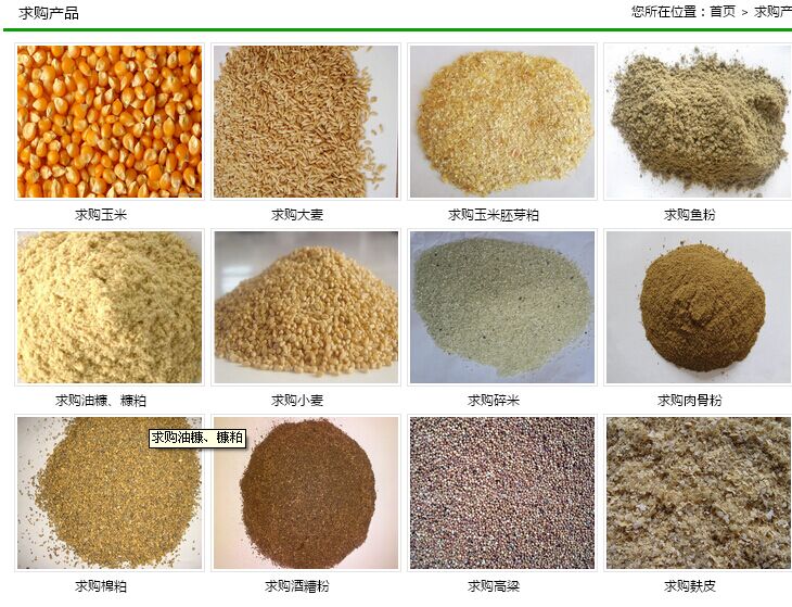 诚心求购玉米豆粕高粱油糠等饲料原料