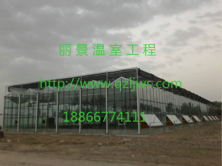 温室大棚,智能温室,生态餐厅,玻璃大棚厂家丽景温室