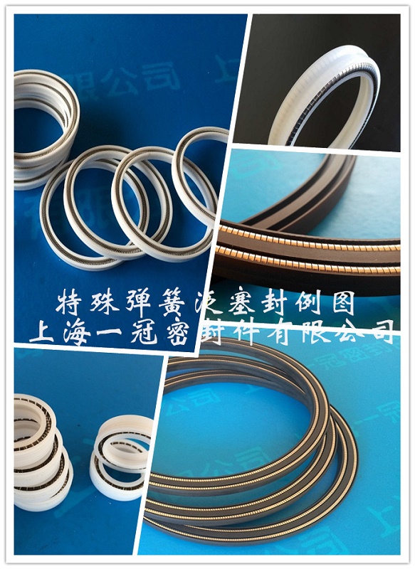 双唇泛塞封 双弹簧泛塞封 斜丝弹簧密封圈
