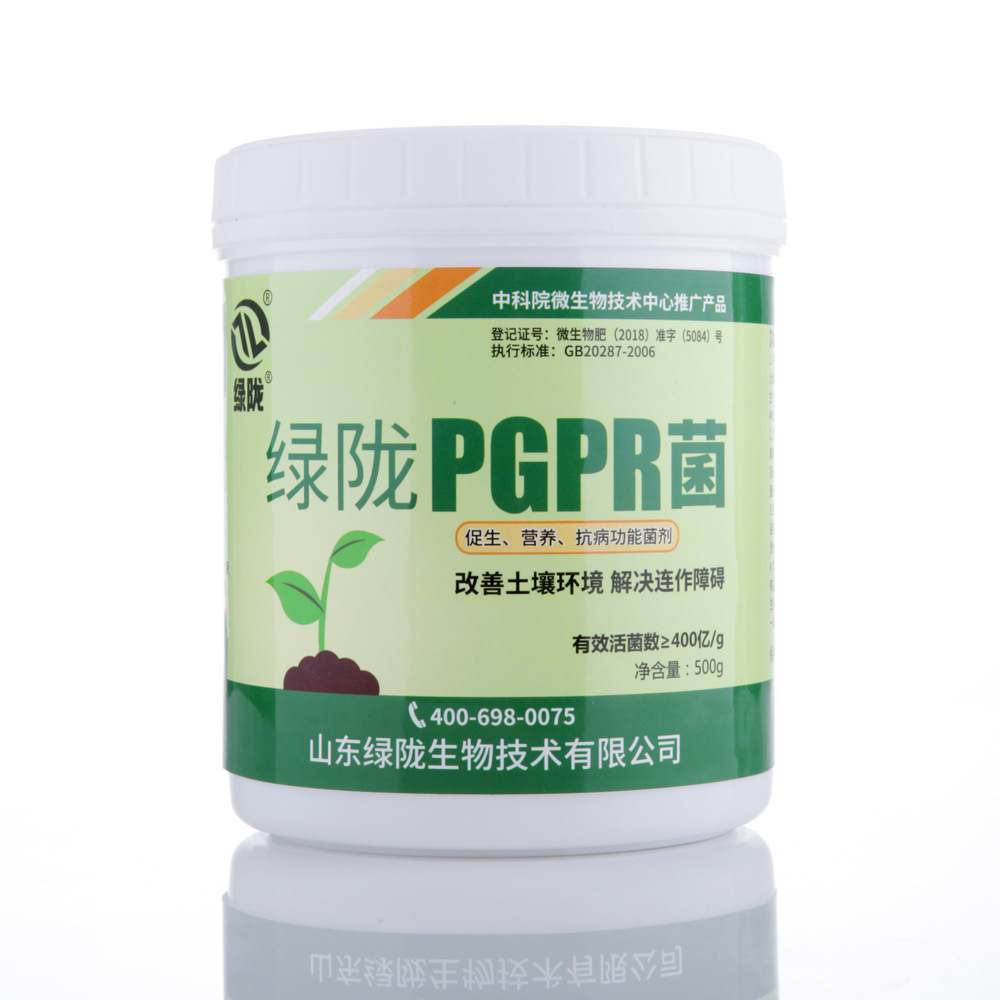 PGPR菌 复合菌