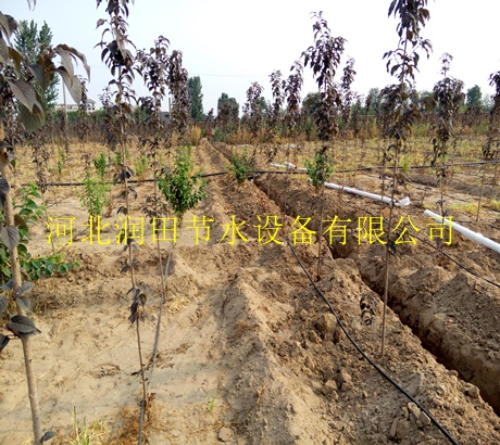 河北圆柱滴灌管厂家