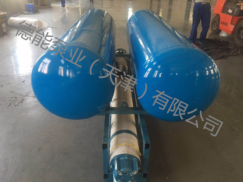 浮筒泵图片价格参数
