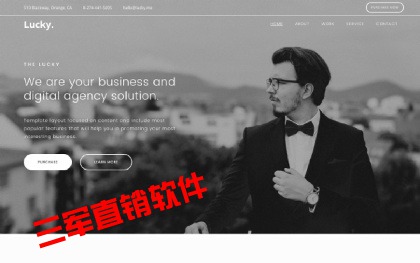 阿勒泰供应 一条线直销系统 结算系统