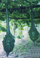 鹤首葫芦种子技术 葫芦频道 长廊葫芦种子