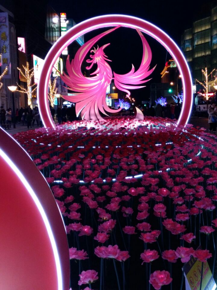 2019北京花卉园艺展览会-百花齐放百家争鸣