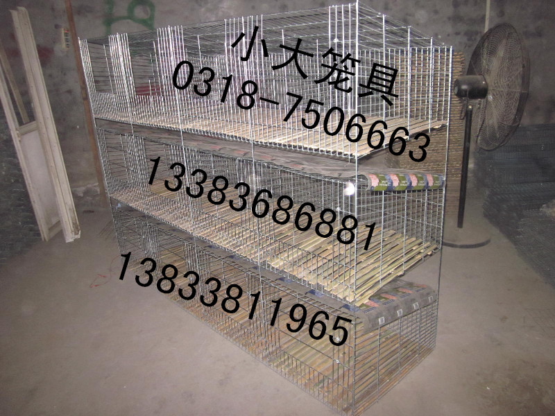 鸽笼子兔笼子鸡笼子狐狸笼鹌鹑笼宠物笼运输笼养殖笼兔子笼鸽子笼