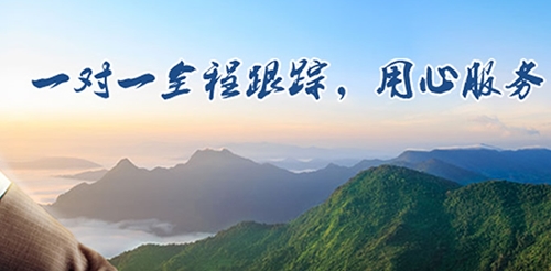 诚信品牌，买不了吃亏！捕蝇笼厂家