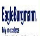 进口EagleBurgmann球阀