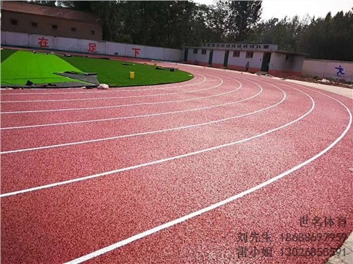 鹽田塑膠跑道 鹽田塑膠跑道報(bào)價(jià) 學(xué)校操場(chǎng)跑道 世名供