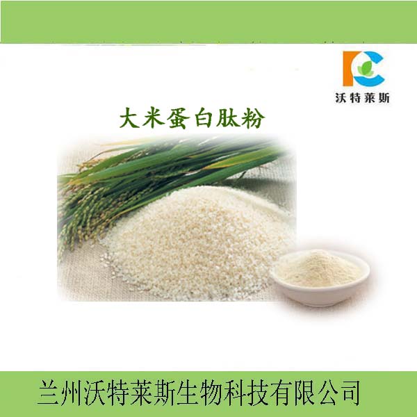 大米蛋白肽80% 大米蛋白粉 提取物 1公斤起订