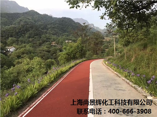 城市绿道,自行车骑行绿道,彩色路面,尚景辉供