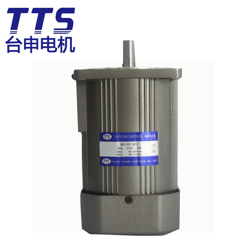 台湾TAI SHEN GEAR MOTOR M206-402 微型马达 厂家现货