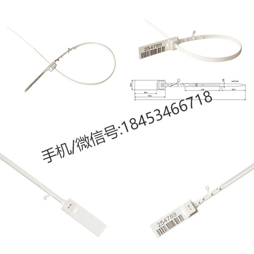 集装箱塑料封条