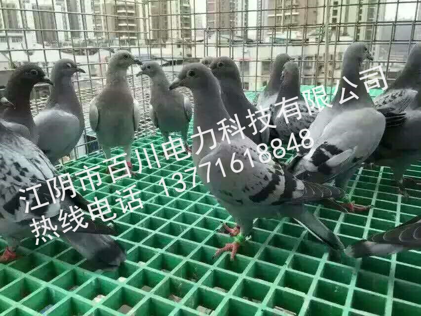 江苏江阴百川供应养殖场专用格栅平台