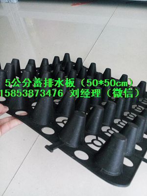 长治绿色蓄排水板∥车库2公分滤水板15853873476