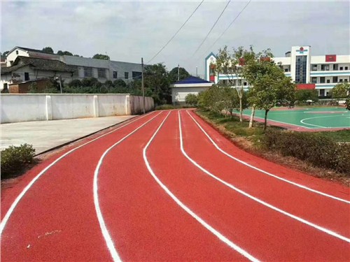 南海塑膠跑道 南海塑膠跑道材料 南海塑膠跑道鋪裝 世名供