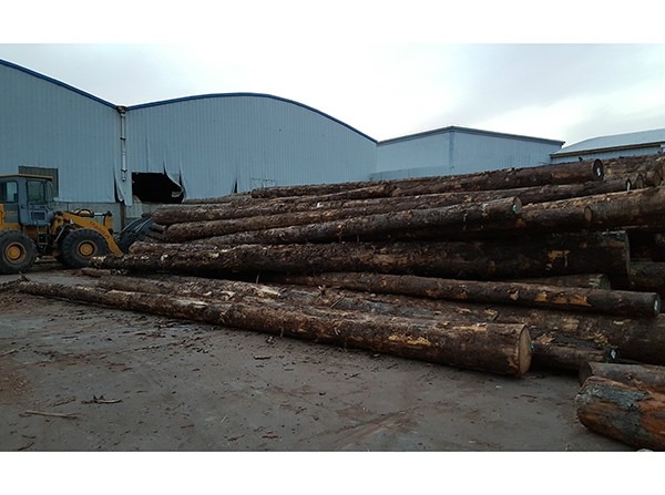 推荐材质优良的原木加工，便宜又实惠的木料加工厂大量供应